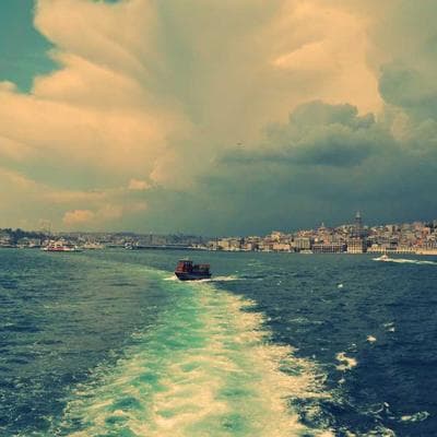 Action Figure Custom