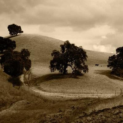 Luminária Tesseract